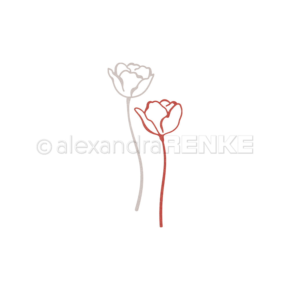 Zwei konturierte Mohnblumen, eine graue und eine rote, schmücken einen weißen Hintergrund in schlichter Eleganz, inspiriert von Alexandra Renke Designs.