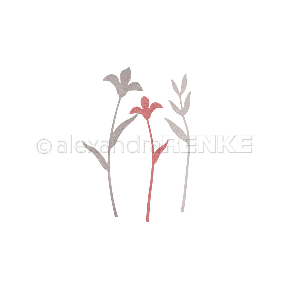 Minimalistische Illustration von drei zarten Blumen - zwei graue, eine rote - im Stil von Alexandra Renke auf weißem Hintergrund.