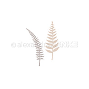 Zwei minimalistische, pastellfarbene Farnblätter – Motivstanze „Farnzweige Duo“ – sind elegant auf einem weißen Hintergrund angeordnet und eignen sich perfekt, um Ihre Designpapiere aufzuwerten oder kreativen Stanzsystem-Projekten einen dezenten botanischen Akzent zu verleihen.