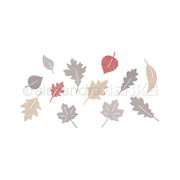 Verschiedene Herbstblätter in Beige, Rot und Grau, verstreut auf weißem Hintergrund – ideal für kreative Projekte mit DieCut-Systemen oder zum Basteln mit Ihren Lieblings-Motivstanze-Herbstlaub-Designpapieren.