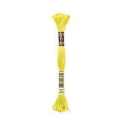 Ein Strang DMC-Stickgarn in leuchtendem Gelb, mit schwarzen und goldenen Etiketten an beiden Enden.