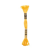 DMC gelbe Mouliné-Baumwollstickgarnsträhne mit einem schwarz-goldenen Etikett auf weißem Hintergrund.