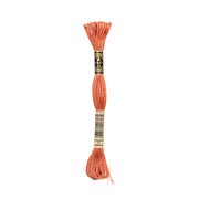 Ein Strang korallenfarbener DMC Mouliné Garn Stickgarn, 100% Baumwolle, mit einem schwarz-goldenen Etikett ruht auf einem weißen Hintergrund. Dieses teilbare Stickgarn ist ideal für detaillierte Stickprojekte.