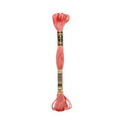 Ein Knäuel rosa DMC-Stickgarn mit einem schwarz-goldenen Etikett in der Mitte.