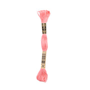 Ein Strang rosa DMC Mouliné Garn Stickgarn aus 100% Baumwolle, mit schwarzem und goldenem Etikett an beiden Enden.