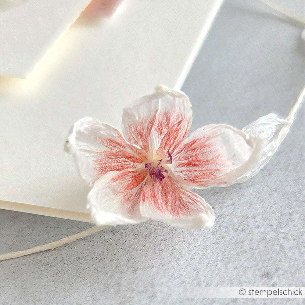 Eine zarte rosa-weiße Trockenblume von Paperphine ruht auf einer hellen Fläche neben gestapeltem Papier - ideal für Bastelprojekte oder als charmanter Akzent auf Geschenkverpackungen.