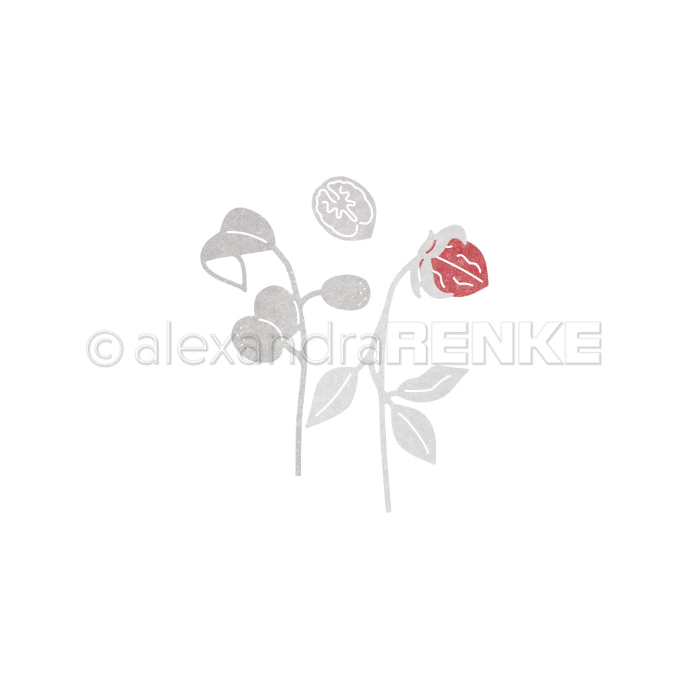 Minimalistische Zeichnung einer Rosenpflanze mit einer roten Rose und grauen Knospen und Blättern auf weißem Grund von Alexandra Renke - ideal für elegante Designpapiere oder zur Kombination mit Stanzformen für einzigartige Bastelprojekte.