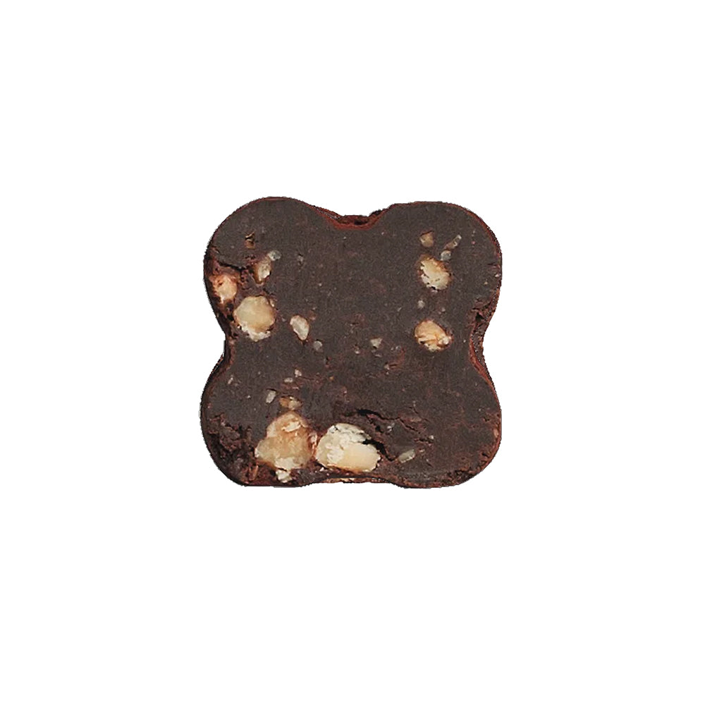 Blumenförmiger Tartufo aus dunkler Schokolade mit sichtbaren piemontesischen Haselnusskernen.