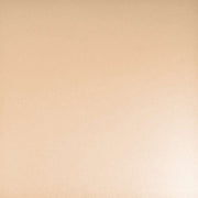 Eine schlichte, glatte Cardstock-Oberfläche in hellem Beige mit dezenter Struktur - ideal für alle Bastelprojekt- oder PAPPcut© Stanzen-Designs von ☆.