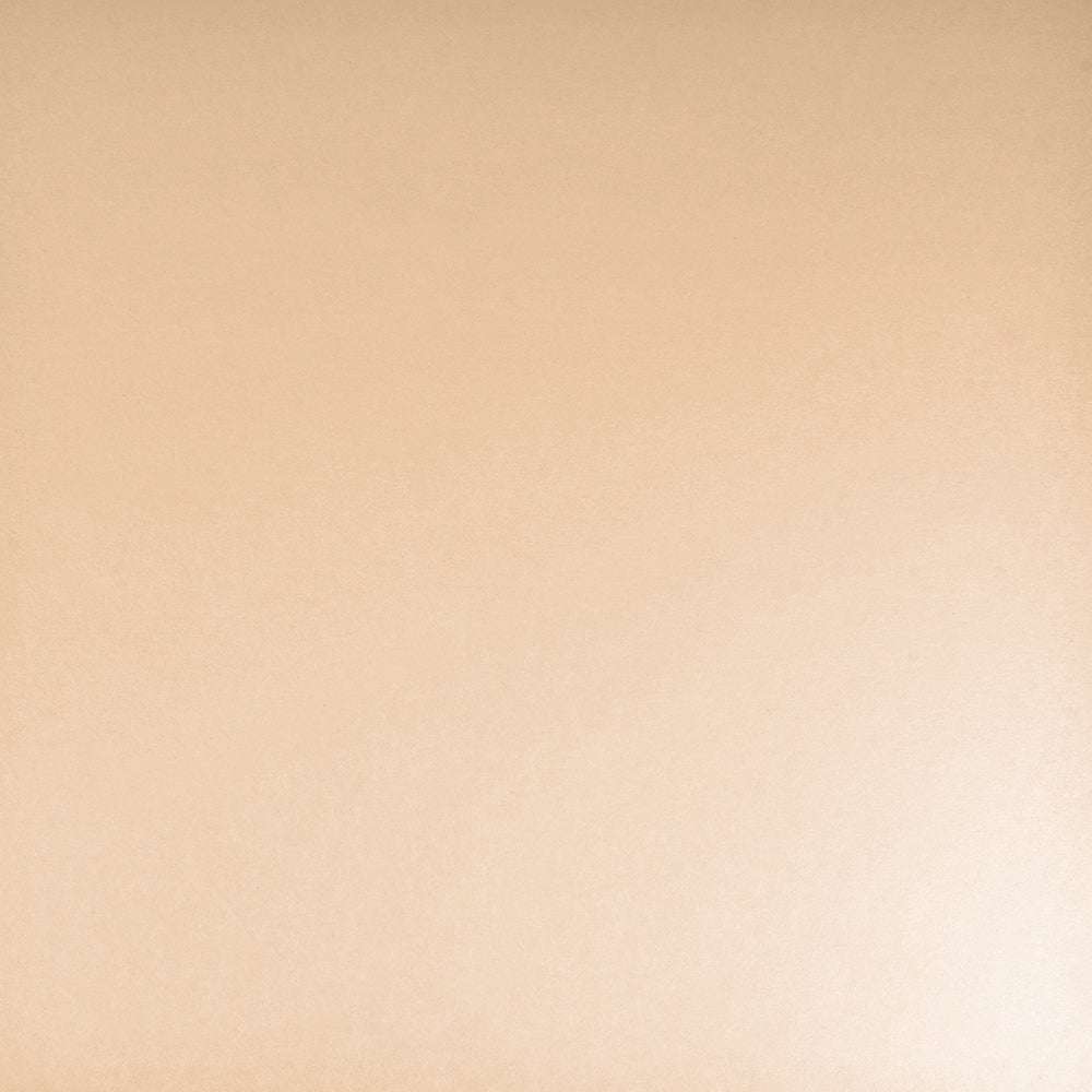 Eine schlichte, glatte Cardstock-Oberfläche in hellem Beige mit dezenter Struktur - ideal für alle Bastelprojekt- oder PAPPcut© Stanzen-Designs von ☆.