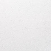 Das weiße, strukturierte Naturpapier von Alexandra Renke weist ein dezentes, unregelmäßiges Noppenmuster auf - perfekt für Buchbindereien oder kreative Projekte, die einen handwerklichen Touch brauchen.