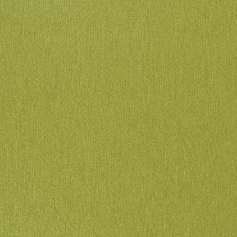 Einfarbig lindgrüner strukturierter Hintergrund mit einem subtilen stoffähnlichen Muster, das an Feinleinen Cardstock von ☆ erinnert.