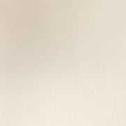 Eine glatte, hellbeige Oberfläche von ☆ mit einer subtilen Textur und gleichmäßiger Farbe - perfekt für Papierkunstwerke und Projekte, die einen sanften Schimmer-Effekt benötigen.