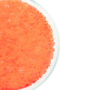 Orangefarbener Fischrogen füllt eine Glasschale, von oben betrachtet, mit einem weißen Hintergrund auf der rechten Seite – er erinnert an Mini-Glasperlen, die aufgrund ihrer leuchtenden Farbe und ihres zarten Aussehens häufig in Bastelprojekten oder beim Schmuckbasteln verwendet werden.