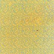 Mit einem gelben Hintergrund mit Kreismuster Senfgelb - blau umrandete Kreise und Ovale, die an elegantes Nepalpapier erinnern - ist dieses ☆ Design perfekt für Geschenke Verpacken.