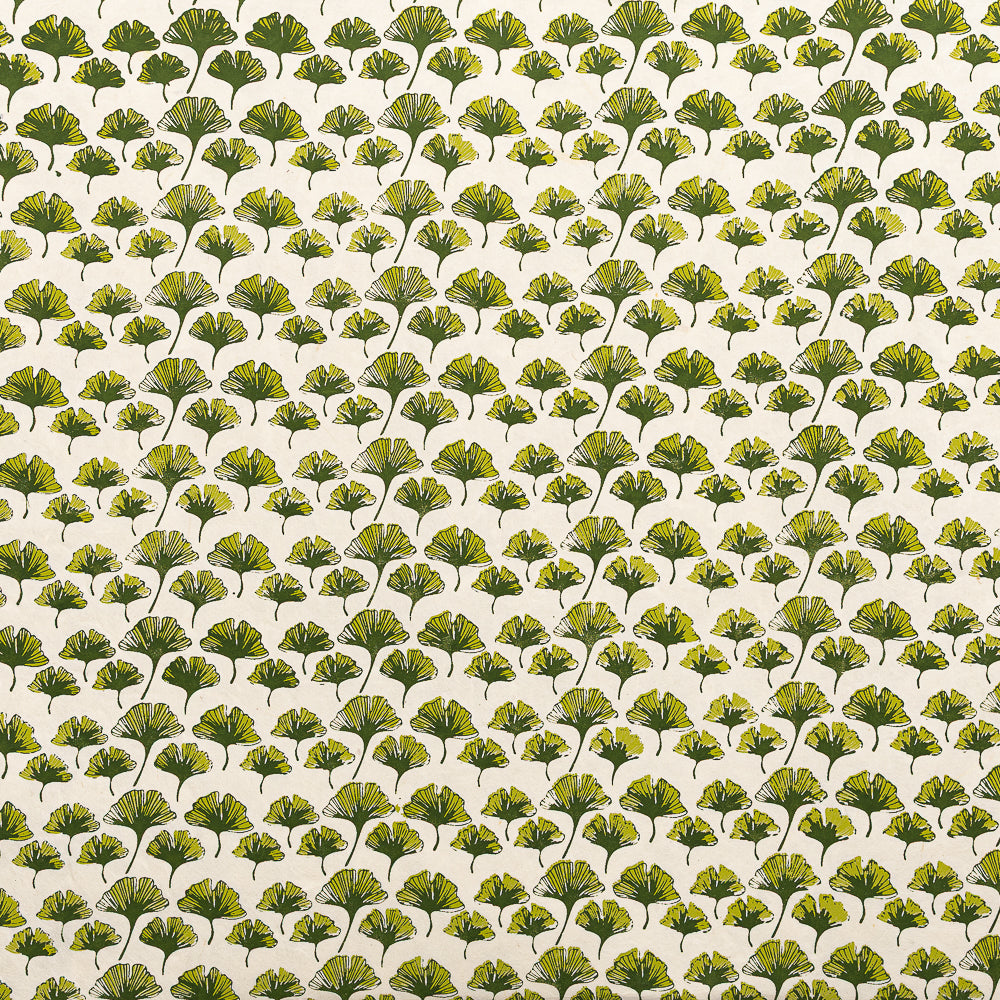 Ordentliche Reihen aus grünen und gelben Ginkgoblättern auf weißem Hintergrund – ideal für Geschenkverpackungen oder Bastelarbeiten mit nachhaltigem Nepalpapier. Von ☆.