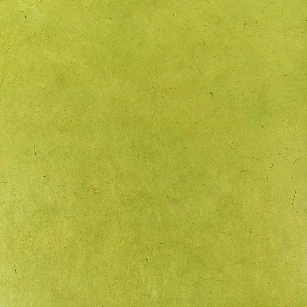 Texturierter lindgrüner Hintergrund mit subtilen Fasern und Farbvariationen, inspiriert von Nepalpapier. Perfekt für Buchbinden oder Geschenke Verpacken. Von der Marke ☆.