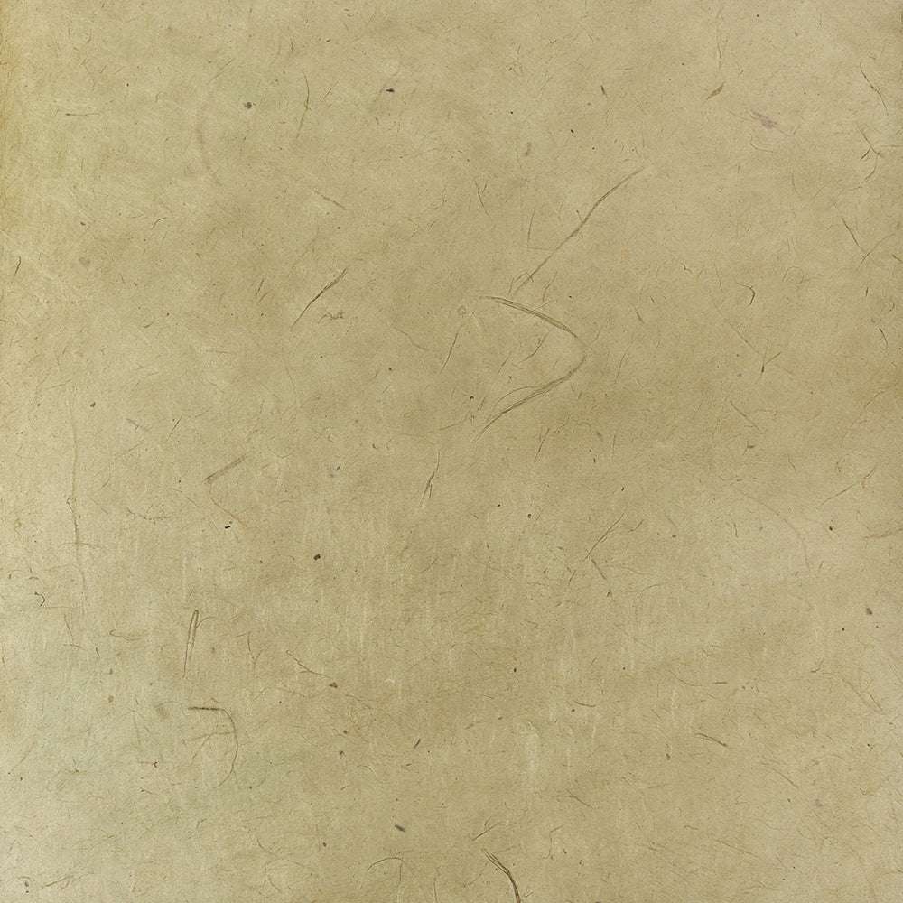 Beigefarbenes strukturiertes Nepalpapier von ☆ mit feinen Fasern und schwachen, unregelmäßigen kratzähnlichen Markierungen - ideal zum Buchbinden oder Einwickeln liebevoller Geschenke.