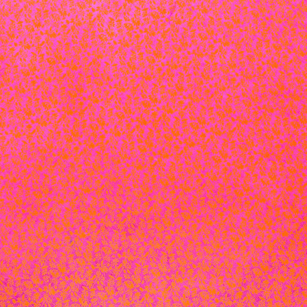 Leuchtend rosafarbener Hintergrund mit einem verschlungenen orangefarbenen Blumenmuster, inspiriert von Handarbeitstechniken auf Nepalpapier von ☆-perfekt zum Verpacken von Geschenken.
