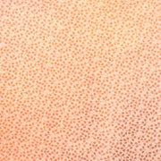 Hellorangefarbener Hintergrund mit einem sich wiederholenden kleinen Blatt- und Zweigmuster in einem dunkleren Farbton, das an handgefertigtes Nepalpapier erinnert - perfekt für Geschenke Verpacken mit einem natürlichen Touch von ☆.