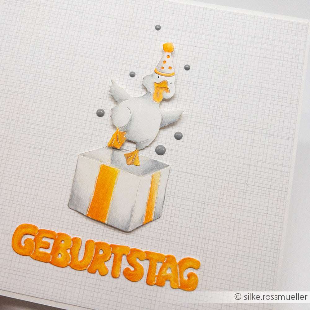 Ein Cartoon-Huhn mit Partyhut steht auf einem Geschenkkarton über dem GEBURTSTAG in orangefarbenen Buchstaben, gestaltet im verspielten PAPPcut®ies-Stil von Alexandra Renke.