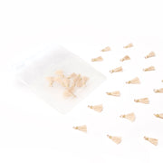 Kleine beigefarbene Alexandra Renke Tasseln sind neben einem durchsichtigen Reißverschlussbeutel auf weißem Grund verstreut - ideal als feine Schmuckakzente oder für kreative Buchbindeprojekte.