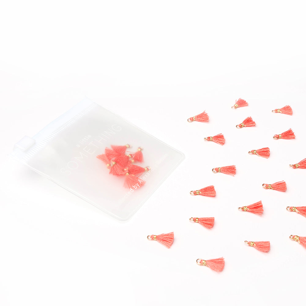 Kleine korallenfarbene Tasseln von Alexandra Renke verstreut neben einem durchscheinenden Beutel auf weißem Grund - ideal für Buchbindearbeiten oder als einzigartiges Schmuckstück.